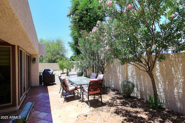 9235 N 101st St, Scottsdale, AZ 85258 - fenced backyard featuring a grill, a patio area, and outdoor dining space