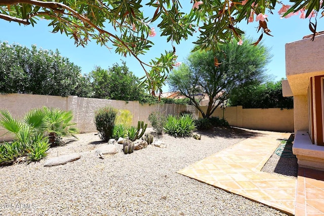 9235 N 101st St, Scottsdale, AZ 85258 - fenced backyard with a patio