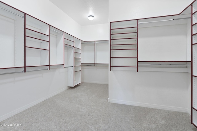 walk in closet featuring light carpet