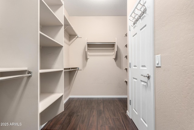 spacious closet with wood finished floors