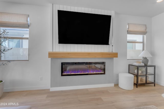 interior details with hardwood / wood-style floors and a large fireplace