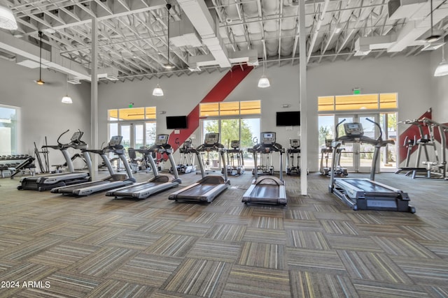 workout area with a high ceiling and carpet