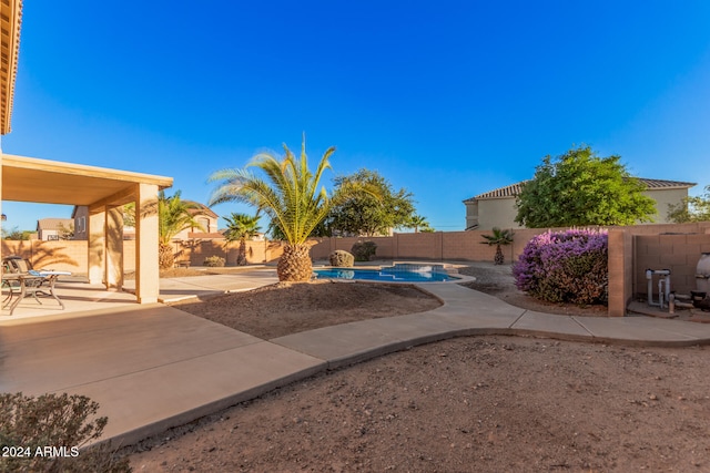 view of yard with a patio and a fenced in pool