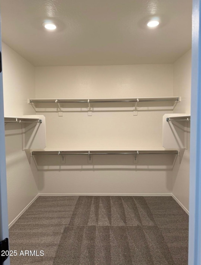 1418 E Jacqueline Pl, Casa Grande, AZ 85122 - spacious closet featuring dark colored carpet