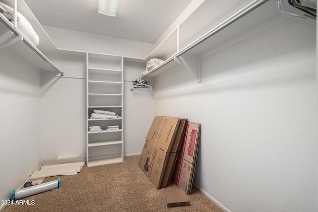 spacious closet featuring light carpet