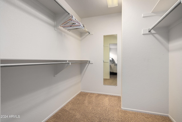 spacious closet featuring carpet floors