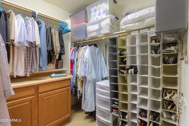 walk in closet with light colored carpet