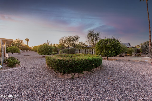 view of yard at dusk