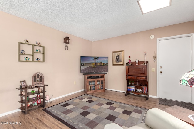 living room with hardwood / wood-style floors and a textured ceiling