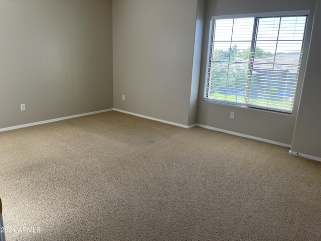 carpeted empty room featuring a healthy amount of sunlight