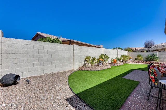 view of yard featuring a fenced backyard and a patio