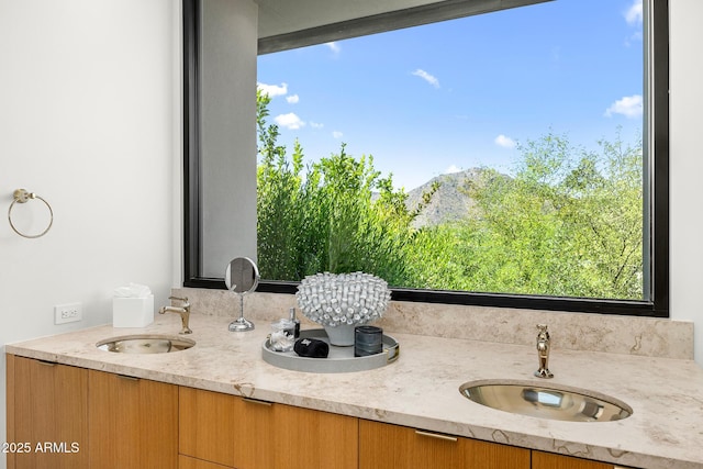 bathroom with sink