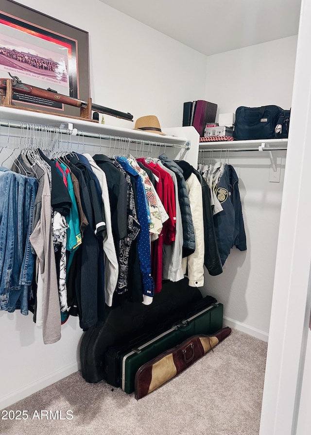 walk in closet featuring carpet flooring