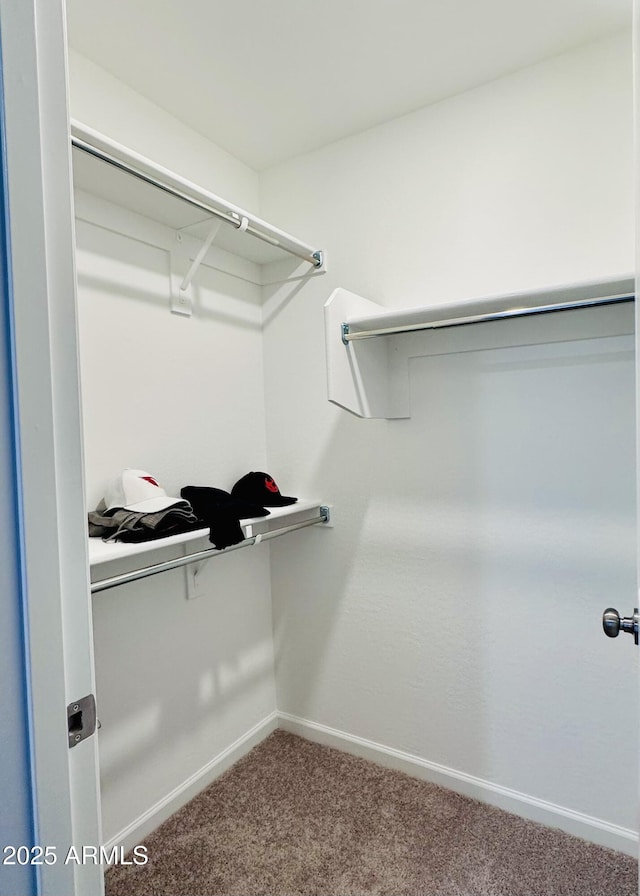 spacious closet with carpet flooring