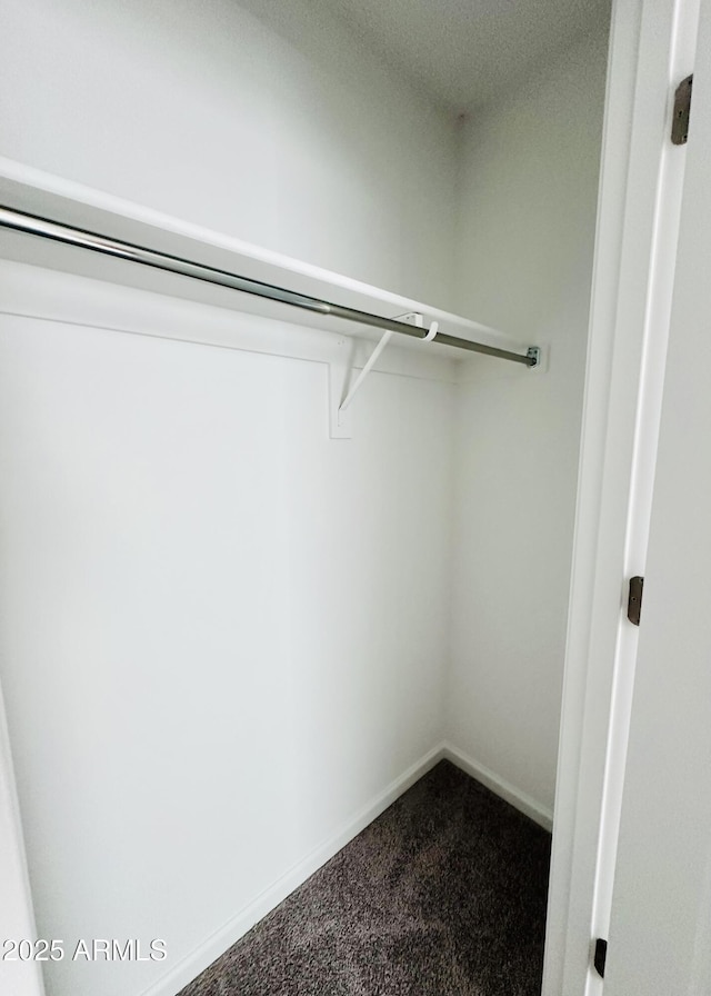 spacious closet featuring dark colored carpet