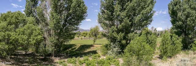 932 N Gomez St, Dewey, AZ 86327 - view of nature