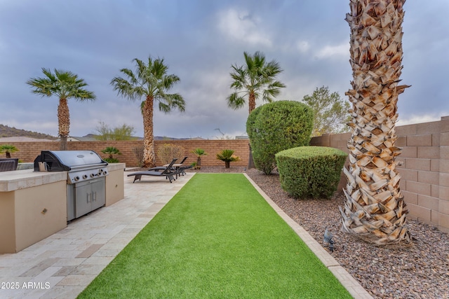 view of yard with exterior kitchen and a patio area