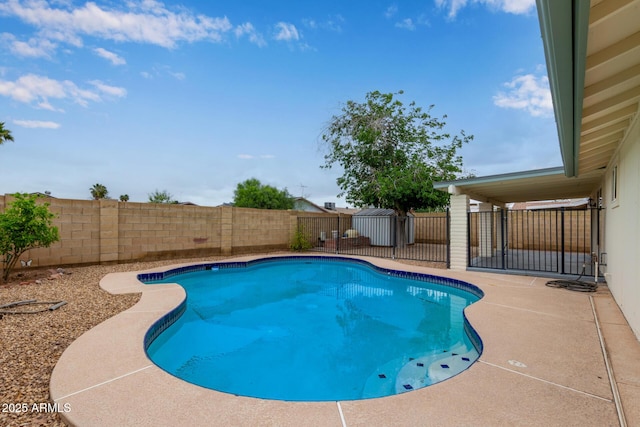 view of pool with a fenced backyard and a patio
