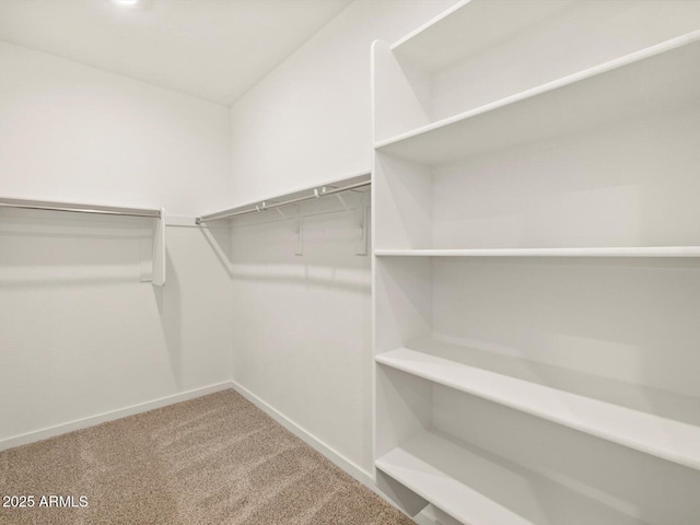 spacious closet featuring carpet