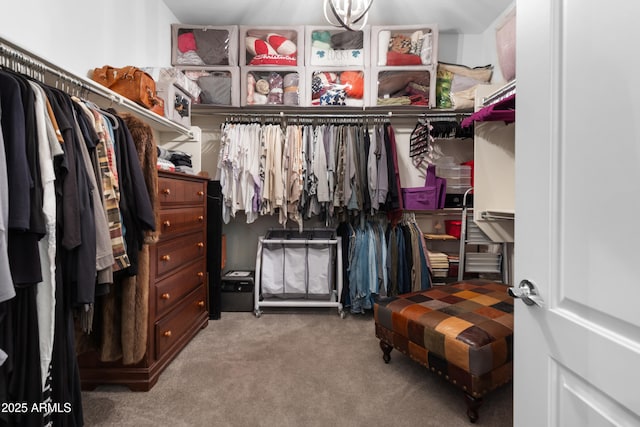 walk in closet with carpet flooring