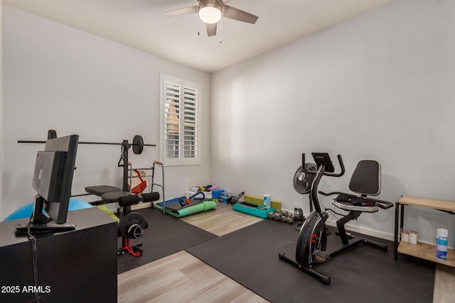 exercise room with hardwood / wood-style flooring and ceiling fan