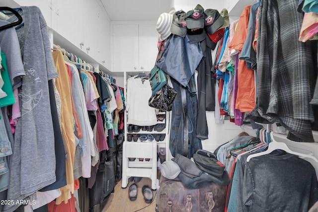 spacious closet with wood finished floors