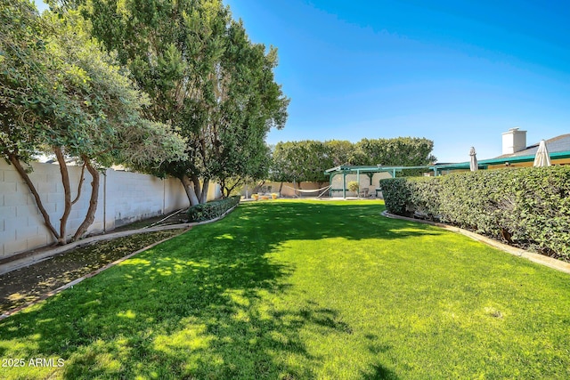 view of yard with a fenced backyard