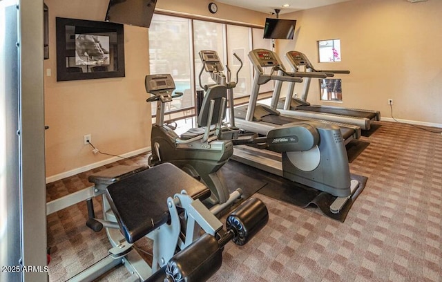 exercise room featuring light carpet