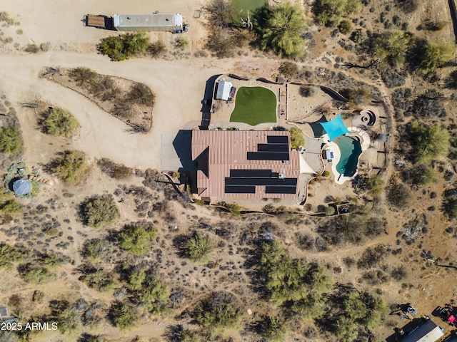 bird's eye view