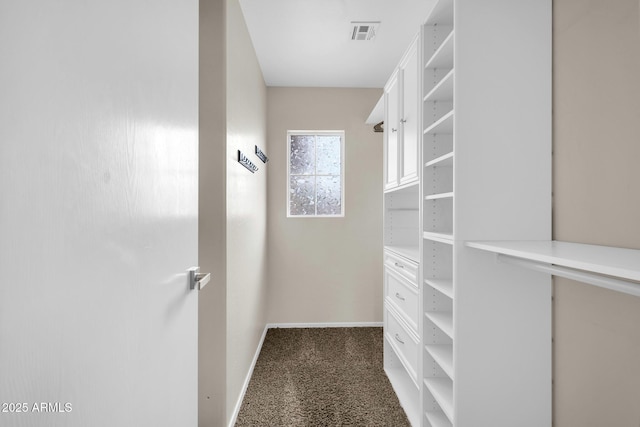 spacious closet with visible vents and carpet