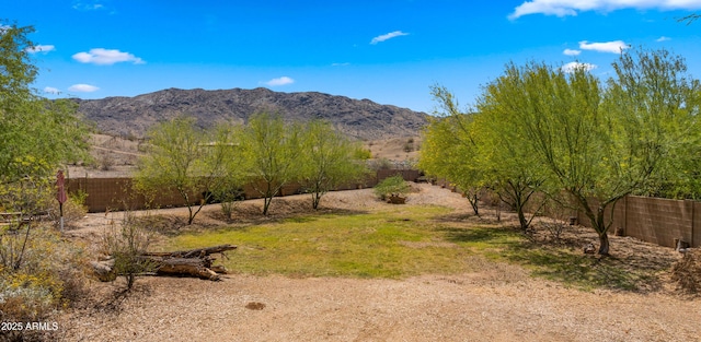 2311 W Dobbins Rd, Phoenix, AZ 85041 - mountain view