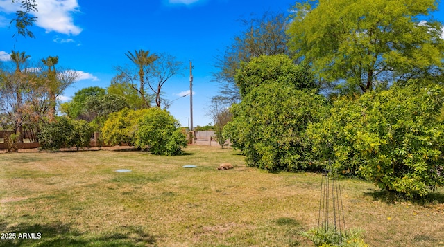 2311 W Dobbins Rd, Phoenix, AZ 85041 - view of green lawn
