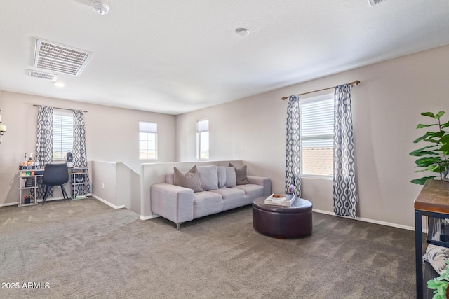 living room with carpet floors