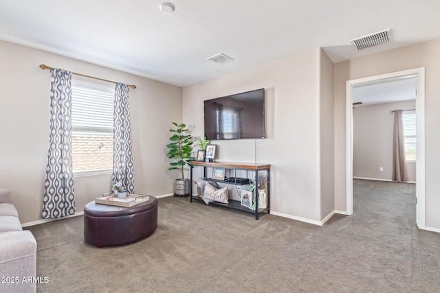 living room featuring carpet floors and a healthy amount of sunlight