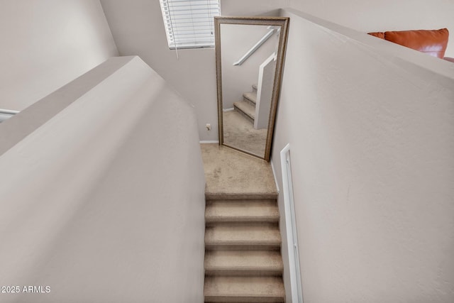 2198 W Pima Ave, Coolidge, AZ 85128 - stairway with carpet flooring
