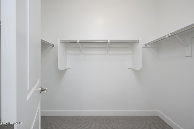 spacious closet featuring carpet