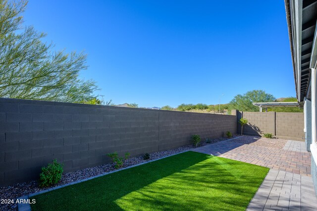 view of yard featuring a patio area