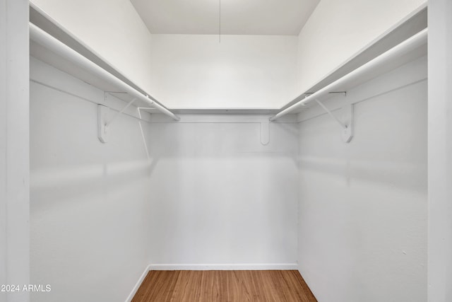 walk in closet featuring hardwood / wood-style floors