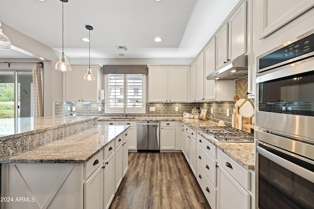 kitchen featuring visible vents, backsplash, under cabinet range hood, dark wood-style floors, and stainless steel appliances