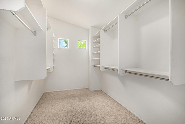 8214 S 48th Dr, Laveen, AZ 85339 - walk in closet featuring carpet flooring and vaulted ceiling