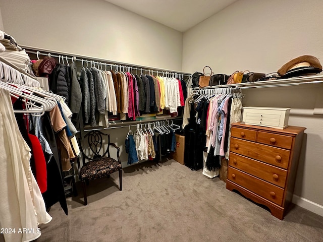 spacious closet featuring carpet floors