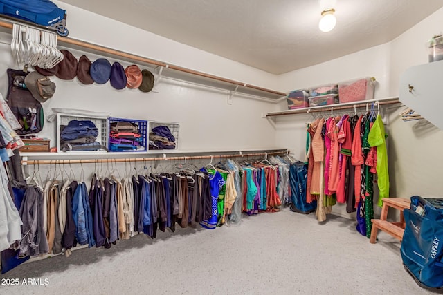 view of spacious closet