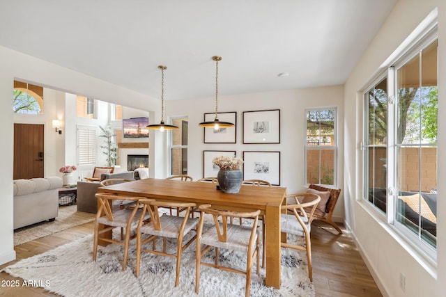dining room featuring wood-type flooring, a glass covered fireplace, and baseboards