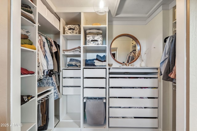 view of walk in closet