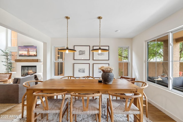 dining room featuring a glass covered fireplace, light wood-style floors, and baseboards