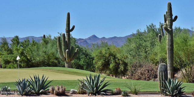 surrounding community with a lawn and a mountain view