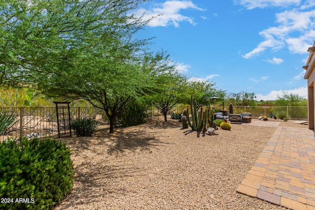 view of yard featuring a patio area