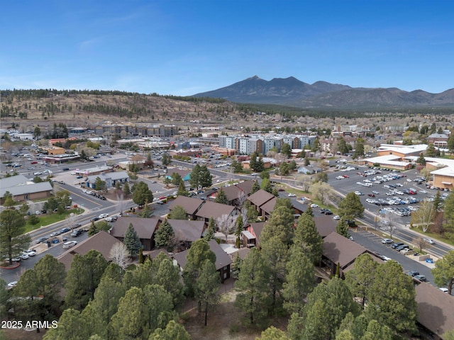 drone / aerial view featuring a mountain view