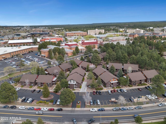 bird's eye view