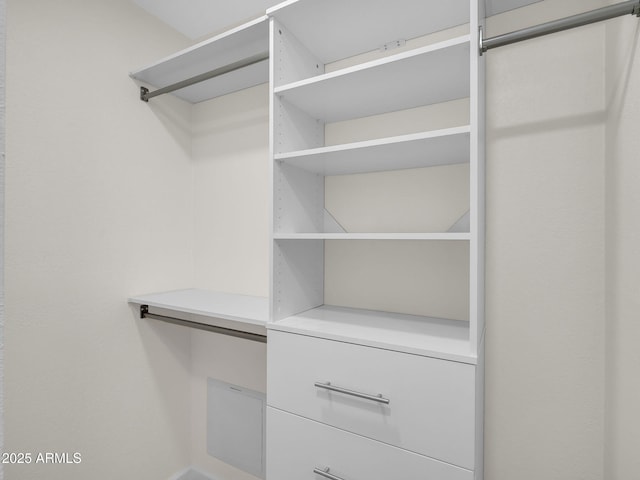 view of walk in closet